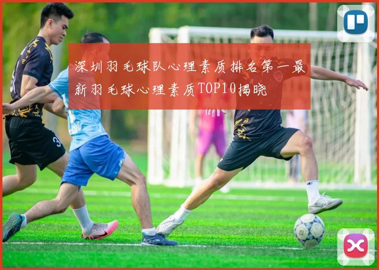 深圳羽毛球队心理素质排名第一最新羽毛球心理素质TOP10揭晓